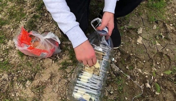 Foto - Oltasız da balık tutmak mümkün! İşte o kolay yöntem...