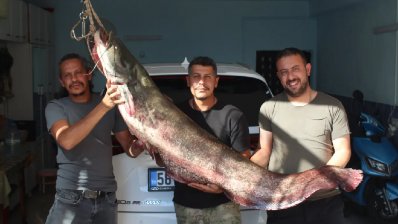 Oltaya takılanı görünce sevinçten dört köşe oldu!