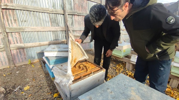 Foto - Oltu’da meyve ağaçlarına vefa örneği