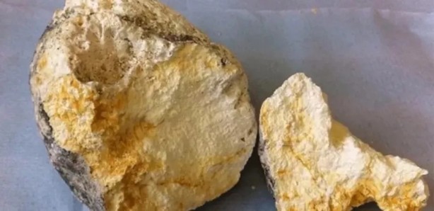 Foto - Ölü balinanın içinden servet çıktı!