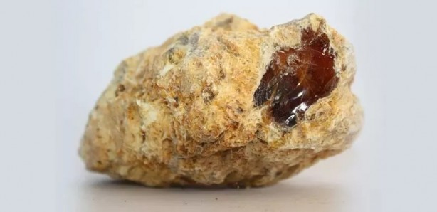 Foto - Ölü balinanın içinden servet çıktı!