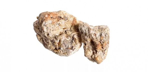 Foto - Ölü balinanın içinden servet çıktı!