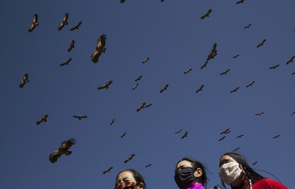 Foto - Ölülerine öyle bir şey yapıyorlar ki!