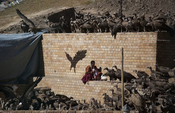 Foto - Ölülerine öyle bir şey yapıyorlar ki!