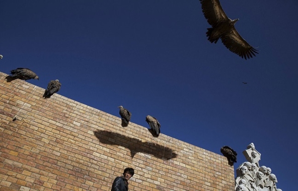 Foto - Ölülerine öyle bir şey yapıyorlar ki!