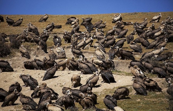 Foto - Ölülerine öyle bir şey yapıyorlar ki!