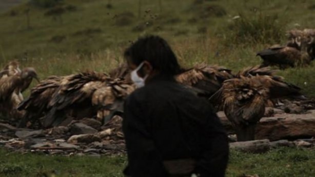 Foto - Ölülerini akbabalara yediriyorlar