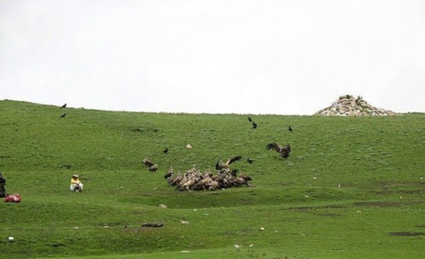 Foto - Ölülerini akbabalara yediriyorlar