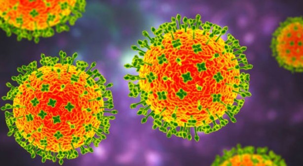 Foto - Ölüm saçan yeni virüs ortaya çıktı! Covid-19'u unutun bu tam bir seri katil