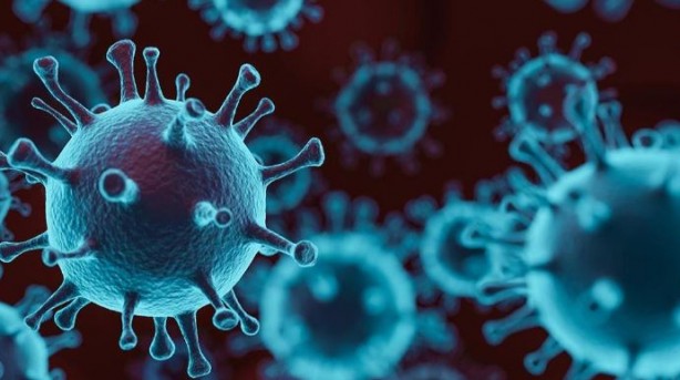 Foto - Ölüm saçan yeni virüs ortaya çıktı! Covid-19'u unutun bu tam bir seri katil