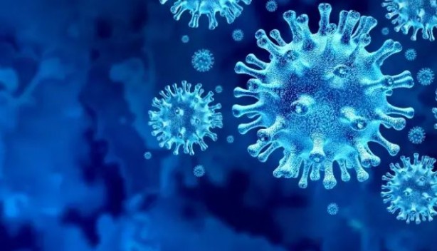 Foto - Ölüm saçan yeni virüs ortaya çıktı! Covid-19'u unutun bu tam bir seri katil