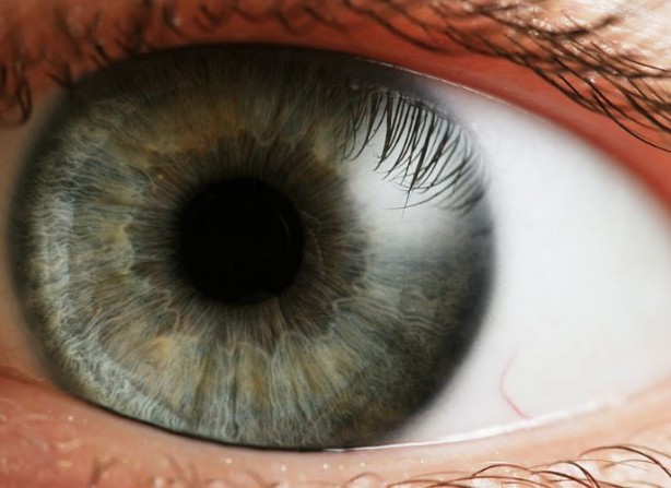 Foto - Ölümcül hastalık gözlerden ortaya çıkıyor