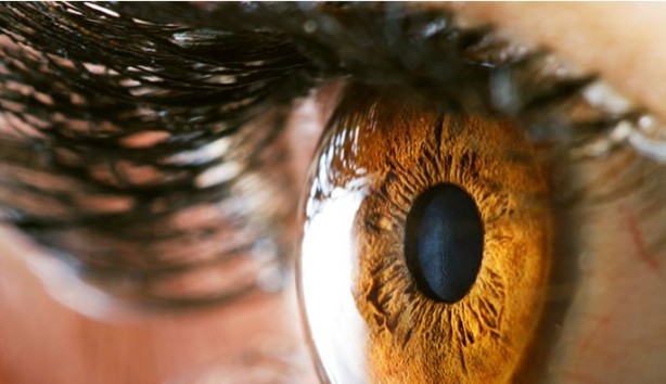 Foto - Ölümcül hastalık gözlerden ortaya çıkıyor