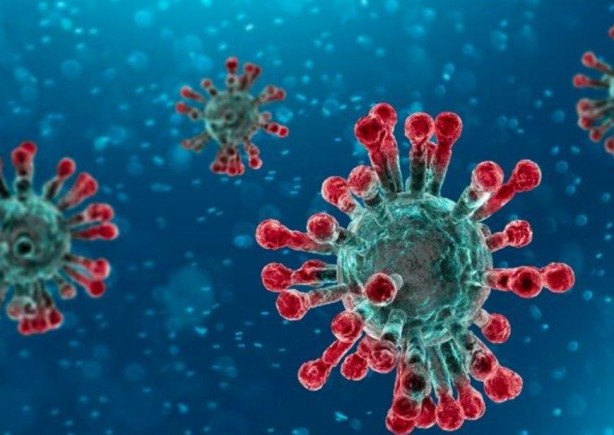 Foto - Ölümcül virüs geliştirdiler! Ebola yanında masum kalır