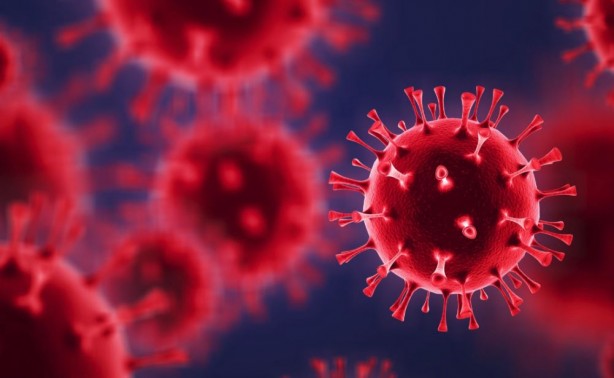 Foto - Ölümcül virüs geliştirdiler! Ebola yanında masum kalır