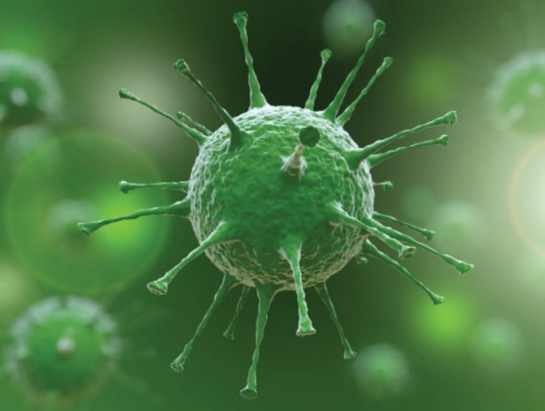 Foto - Ölümcül virüs geliştirdiler! Ebola yanında masum kalır