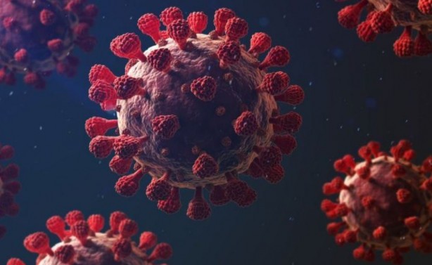 Ölümcül virüs geliştirdiler! Ebola yanında masum kalır