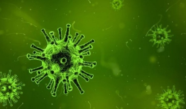 Foto - Ölümcül virüs geliştirdiler! Ebola yanında masum kalır