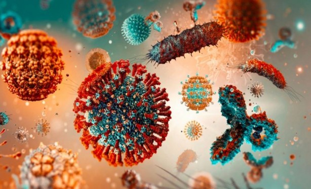 Foto - Ölümcül virüs geliştirdiler! Ebola yanında masum kalır