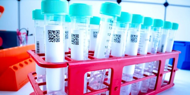 Foto - Ölümcül virüse karşı zafer kazandı derken… Gizli belgeler ortaya çıktı