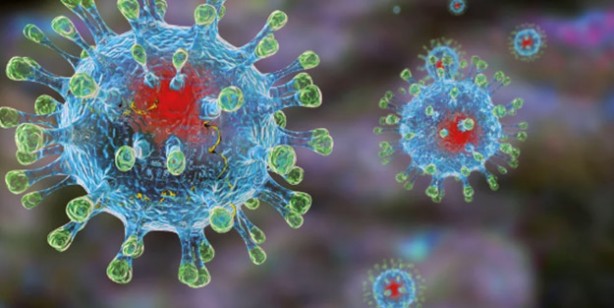 Foto - Ölümcül virüse karşı zafer kazandı derken… Gizli belgeler ortaya çıktı