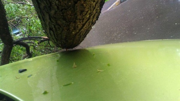 Foto - Ölümden kıl payı kurtuldular!