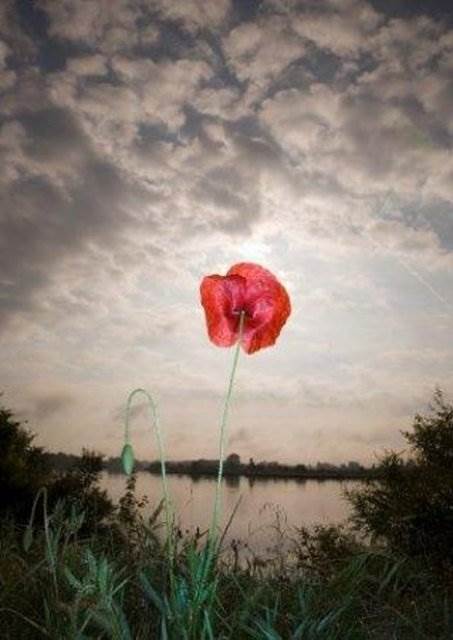 Foto - Ölüme yaklaşan insanların pişmanlıkları