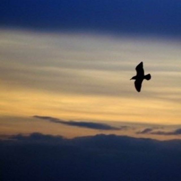 Foto - Ölüme yaklaşan insanların pişmanlıkları