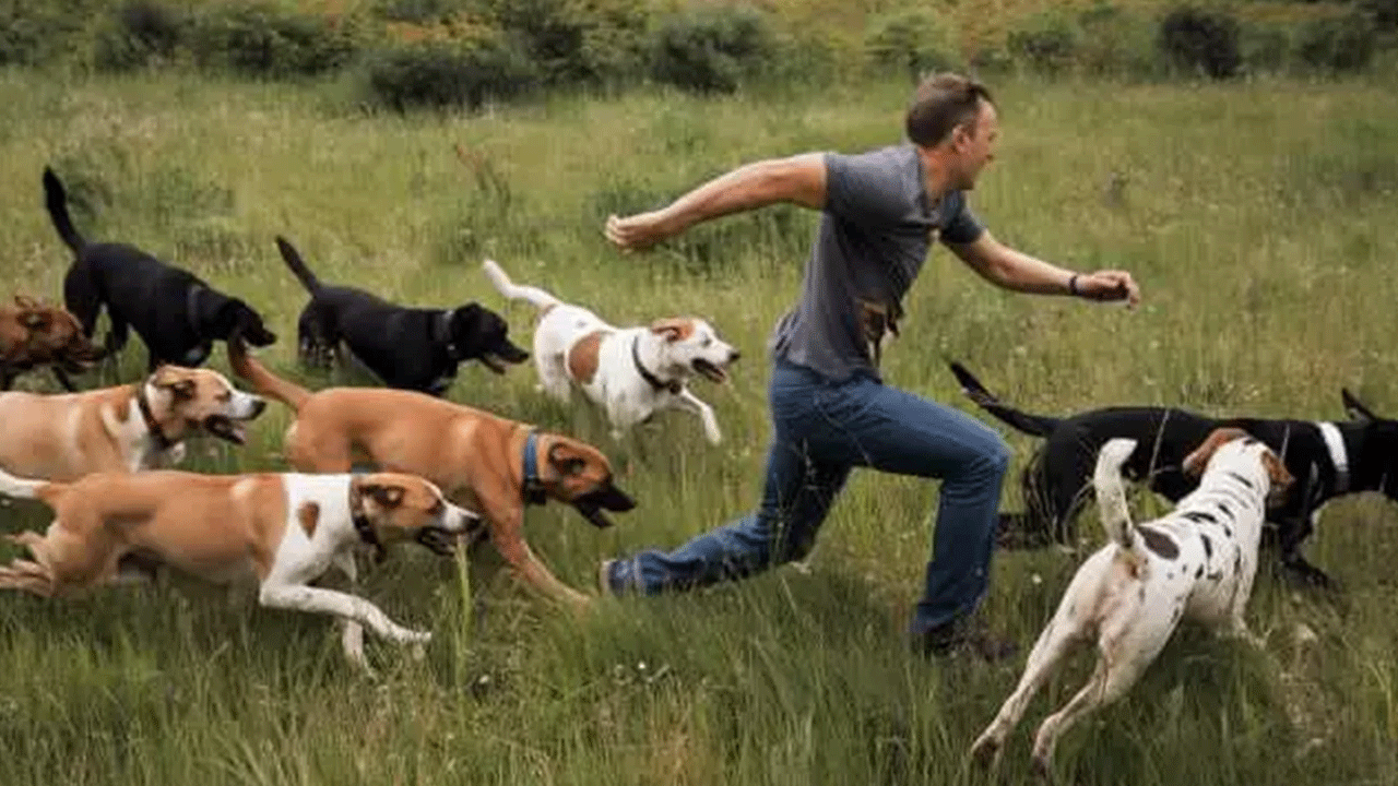 Ölümlerin yüzde 67'sinde onun parmağı var! Acımasızlığı nam saldı!