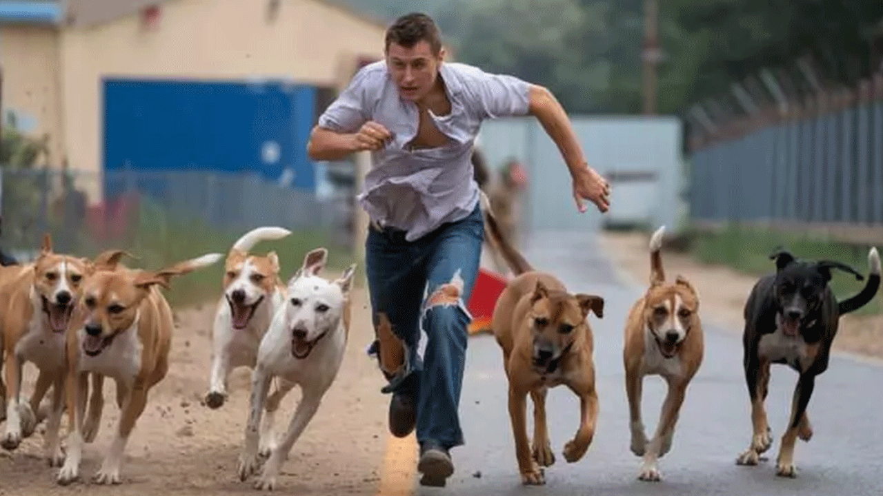 Foto - Ölümlerin yüzde 67'sinde onun parmağı var! Acımasızlığı nam saldı!