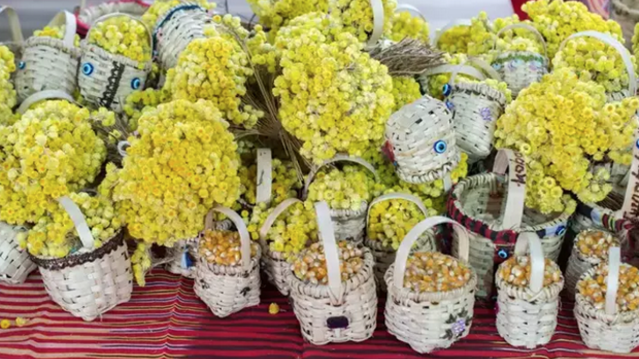 Foto - Ölümsüzlük çiçeği olarak da biliniyor! Çayını bardak bardak içince ödemin kökünü kazıyor, Bağırsakları anında rahatlatıyor!