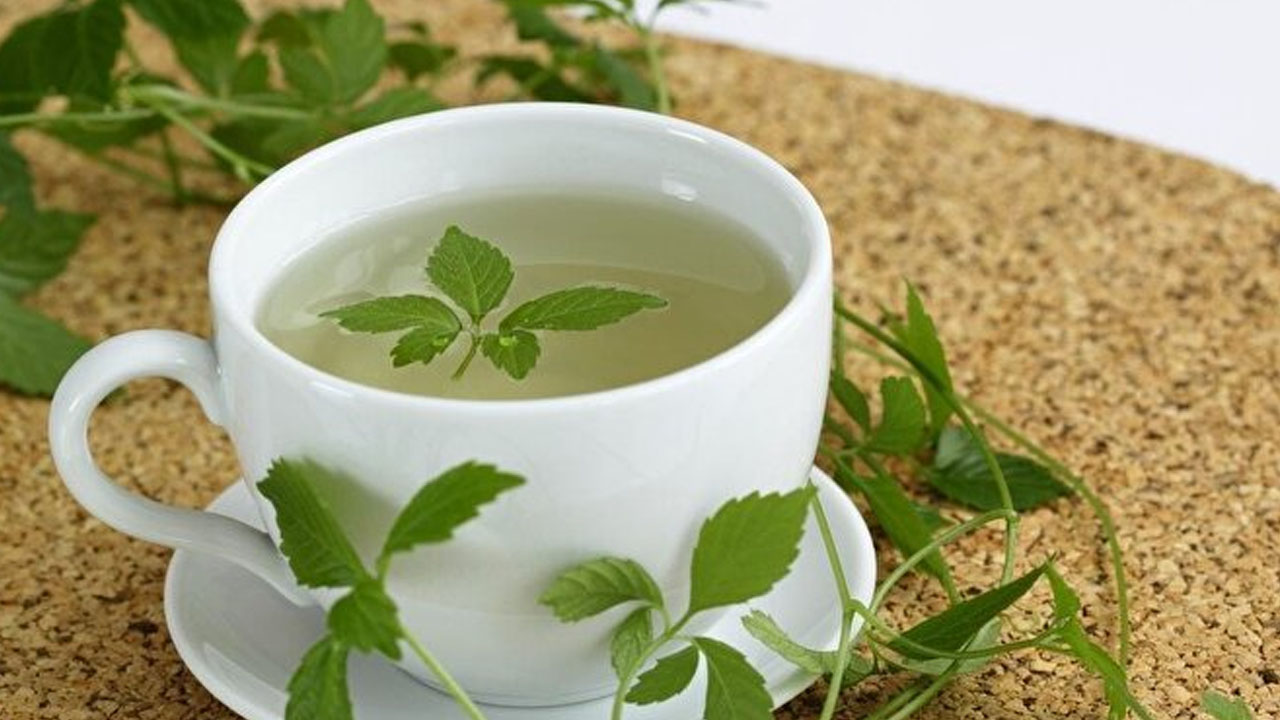 Ölümsüzlük otu jiaogulanin faydaları saymakla bitmiyor