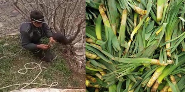 Foto - Ölümün kıyısında şifa arıyorlar