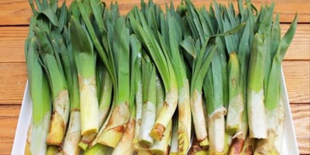 Foto - Ölümün kıyısında şifa arıyorlar