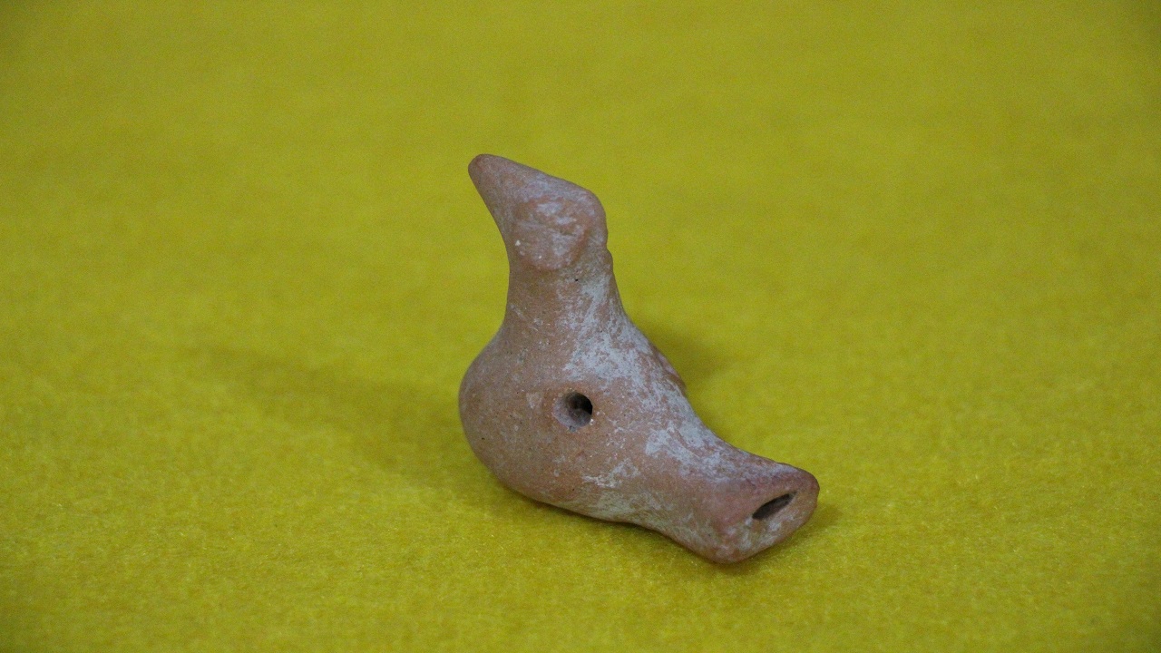 Oluz Höyük'te bulundu! Amasya'da 2 bin 100 yıllık keşif