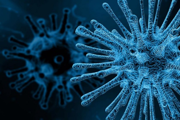 Foto - Omicron varyantı hakkında 10 kritik bilgi