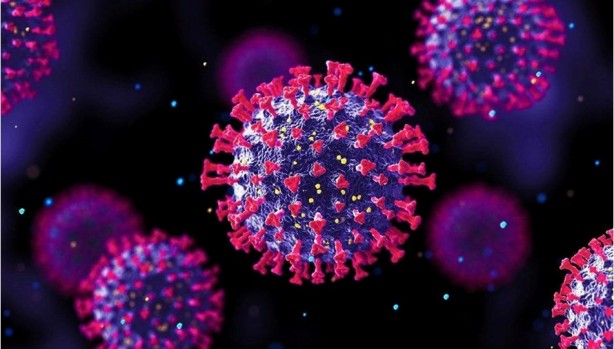 Foto - Omicron varyantı hakkında 10 kritik bilgi