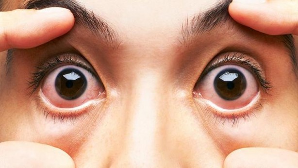 Foto - Ömür boyu etkili reçete! Şahin gibi keskin gözlere kavuşmanın sırrı bu besinlerde saklı