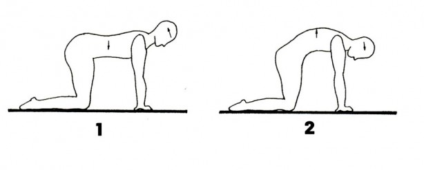 Foto - Omurga sağlığınız için bunlara dikkat edin