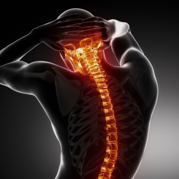 Foto - Omurga sağlığınız için bunlara dikkat edin