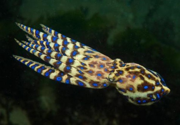 Foto - Ona dokunan kalp krizi geçiriyor