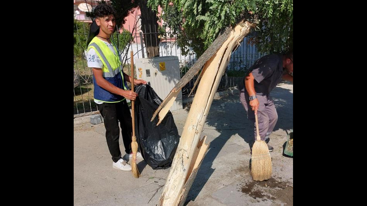 Foto - Önce araca sonra ağaca vurdu! Çanakkale’nin kahraman kadınlarından sarhoş gezen kadınlara