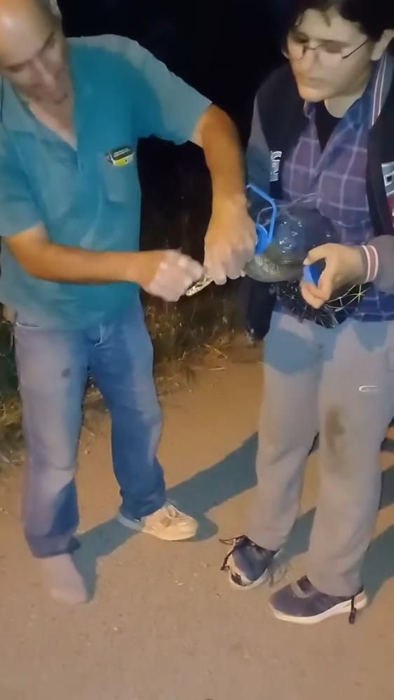 Önce eliyle yakaladı sonra da… Cesareti herkesi şaşkına çevirdi 