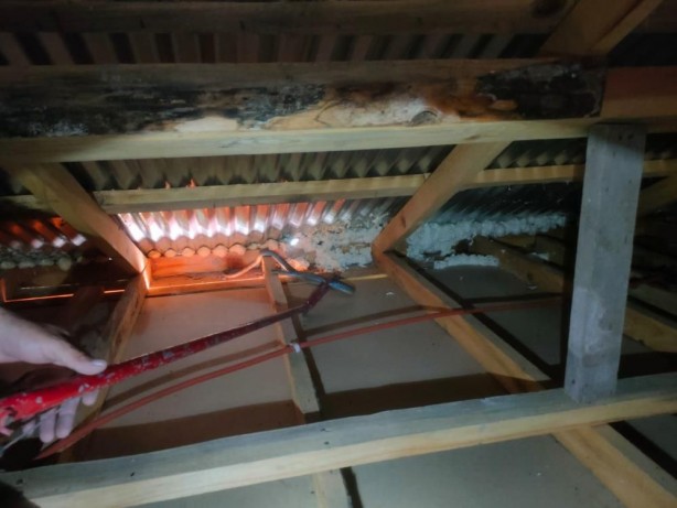 Foto - Önce eliyle yakaladı sonra da… Cesareti herkesi şaşkına çevirdi 