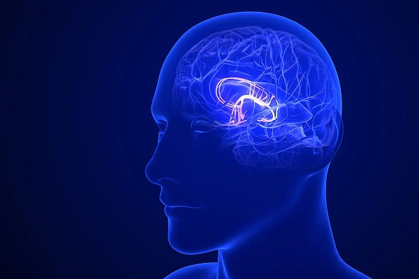 Foto - Önce felç sonra migren geliyor | Migrenle ilgili şaşırtan gerçek! 