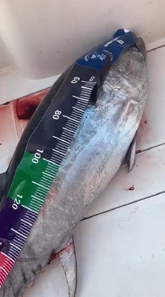 Foto - Önce iz sürdü sonra keyfini yaşadı