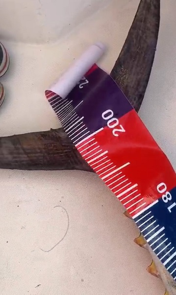 Foto - Önce iz sürdü sonra keyfini yaşadı