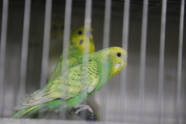 Önceden hissediyorlar iddiası! Deprem sonrası satışlar patladı