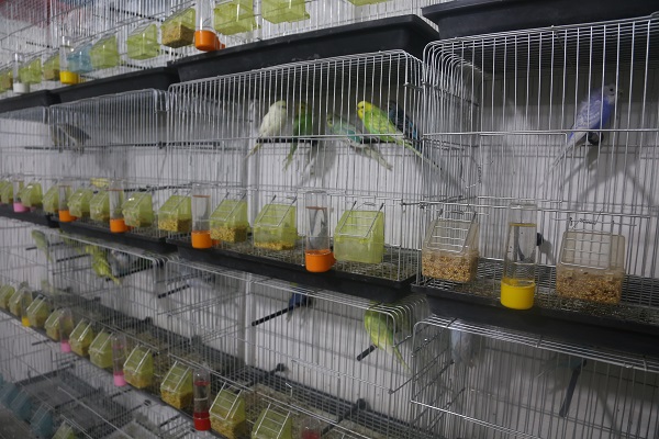 Foto - Önceden hissediyorlar iddiası! Deprem sonrası satışlar patladı