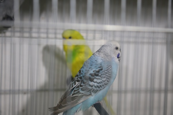 Foto - Önceden hissediyorlar iddiası! Deprem sonrası satışlar patladı